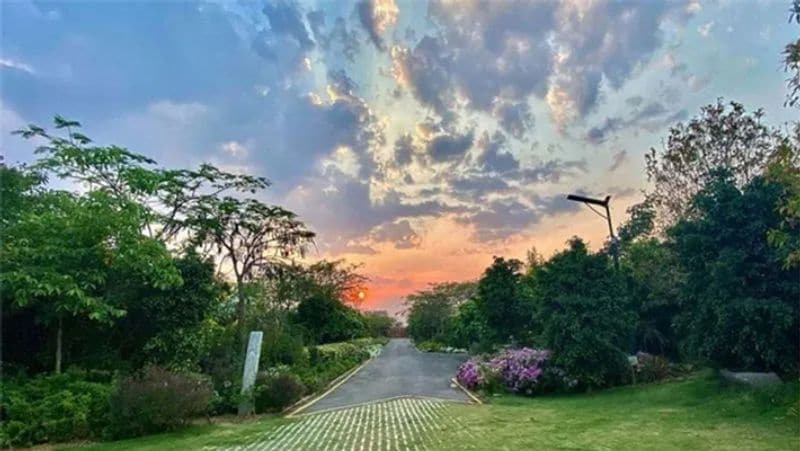 ऐसा है धोनी का फार्म हाउस
धोनी जिस फार्म हाउस में रहते हैं, वह इतना खूबसूरत है कि कोई भी इसे देखकर दंग हो जाएगा। उनके फार्म हाउस में एक बड़ा खुला मैदान है। साथ ही हरे भरे लॉन और कई प्रकार के पेड़ है। यहां प्रकृति का दिलकश नजारा देखने को मिलता है। जिसकी तस्वीरें अक्सर साक्षी शेयर करती रहती हैं।