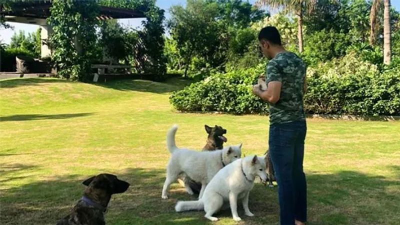 घर की रखवाली करते है 6 डॉग
महेंद्र सिंह धोनी और साक्षी को पेट्स से बहुत प्यार हैं। उनके पास छह डॉग्स हैं। जिनके नाम लीह, जोया, जारा, सैम, गब्बर और लिली हैं। साक्षी अक्सर उनकी तस्वीरें सोशल मीडिया पर शेयर करती रहती हैं। उनकी बेटी जीवा भी अपने पेट्स के साथ काफी एंजॉय करती हैं।