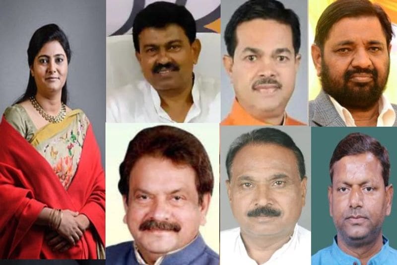उत्तर प्रदेश से जिन 7 सांसदों को मंत्री बनाया गया है, उनमें आगरा लोकसभा सीट से सांसद एसपी बघेल, मोहनलाल गंज के कौशल किशोर, महाराजगंज पंकज चौधरी, राज्यसभा सांसद बीएल वर्मा, जालौन से भानु प्रताप वर्मा, अपना दल एस की अध्यक्ष अनुप्रिया पटेल और खीरी सांसद अजय मिश्रा के नाम शामिल हैं।

