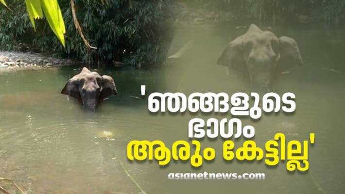 Pregnant elephant Killed Kerala accused families allegations against forest department Pregnant elephant Killed Kerala accused families allegations against forest department