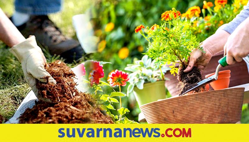 Plant your garden according to vaastu