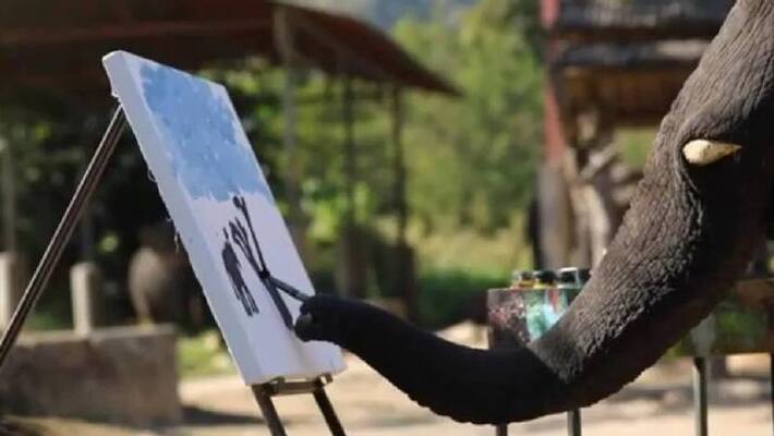 Elephants Painting of Herself and Friend Sells For Rs 4 Lakh Elephants Painting of Herself and Friend Sells For Rs 4 Lakh