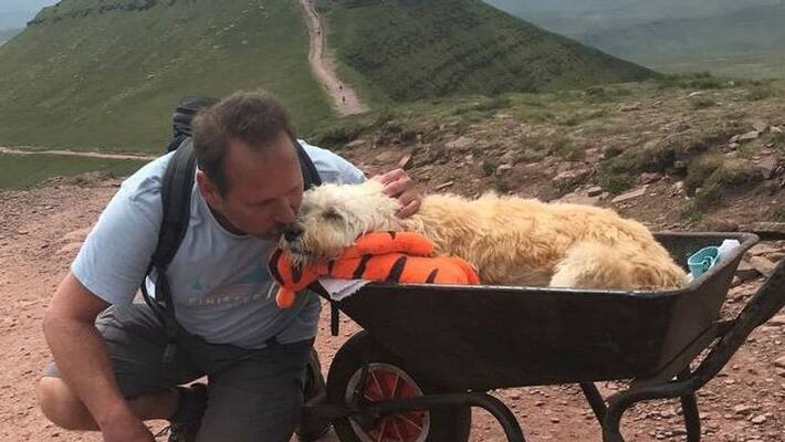 heart melting story of a friendship btw a man and his dog heart melting story of a friendship btw a man and his dog