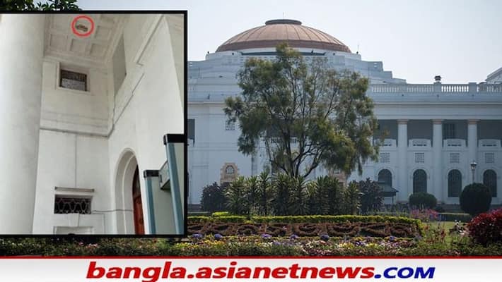 a part of ceiling collapses in state assembly today bmm a part of ceiling collapses in state assembly today bmm