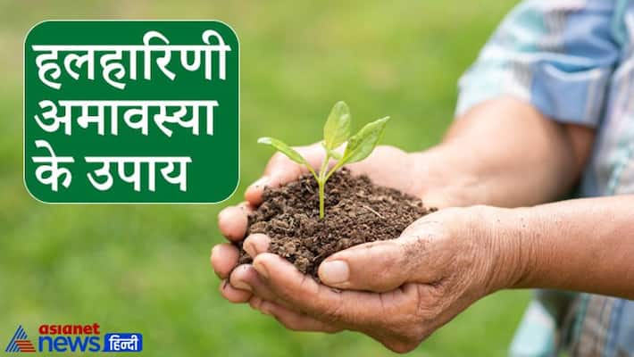 Halharini Amavasya today, know the remedies of it KPI Halharini Amavasya today, know the remedies of it KPI