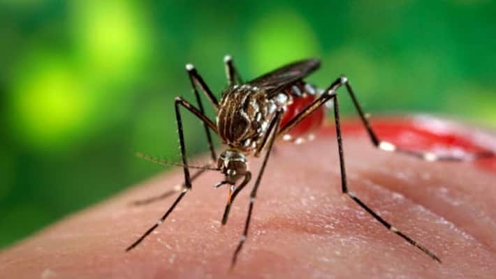 Central Government Experts Team Arrive to Raichur For Zika Fever Case grg Central Government Experts Team Arrive to Raichur For Zika Fever Case grg