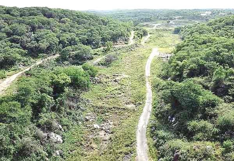 কর্ণাটকের কুর্গ
কফির জন্য বিখ্যাত কর্ণাটকের এই স্থান হতে পারে আপনার বর্ষার ডেস্টিনেশন। সবুজ পাহাড় এবং জঙ্গলে ঘেরা এই জায়গাটি পর্যটকদের কাছে বিশেষ জনপ্রিয়। শহরের কোলাহল থেকে মুক্তি পেতে আপনার কুর্গ হতে পারে আপনার সেরা বর্ষার ডেস্টিনেশন। 