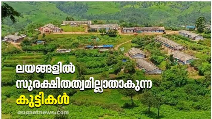 idukki insecured childrens in idukki thottam plantation idukki insecured childrens in idukki thottam plantation