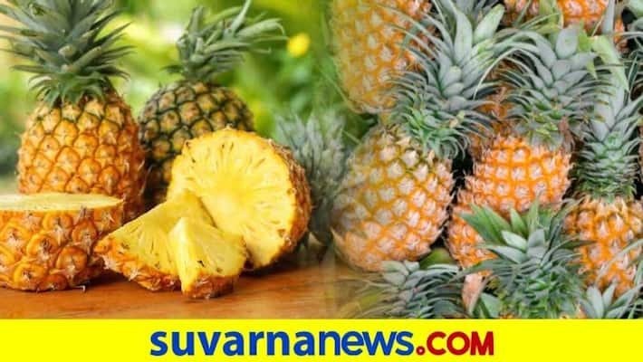 Tripura CM to send 650 kg pineapples to Bangladesh PM after she sent mangoes dpl Tripura CM to send 650 kg pineapples to Bangladesh PM after she sent mangoes dpl