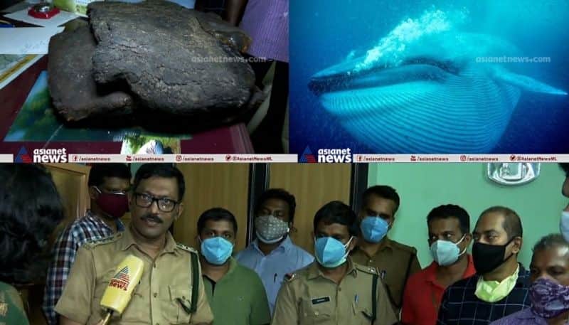 why people held for trying to sell whale vomit aka Ambergris in Kerala