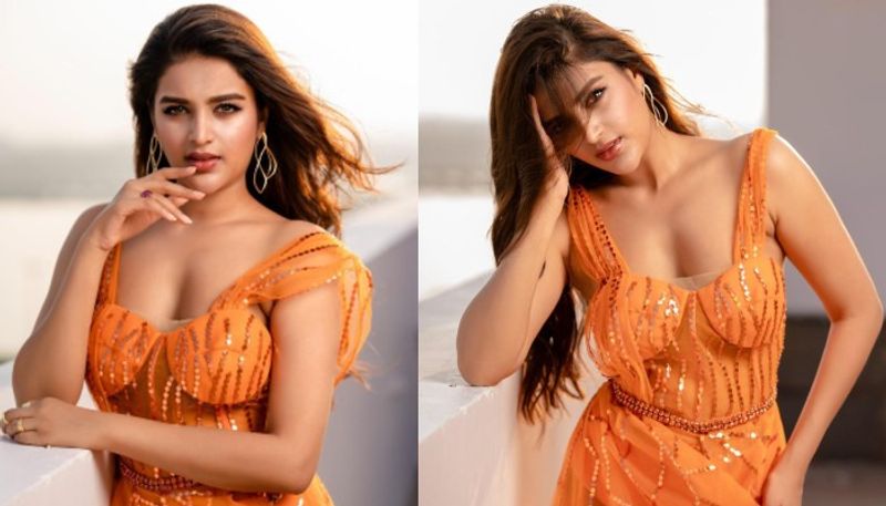 `మున్నా మైఖేల్‌` చిత్రంతో హీరోయిన్‌గా పరిచయమైన ఈ హాట్‌ అందాల భామ తెలుగులో `సవ్యసాచి` చిత్రంతో పరిచయమైంది.