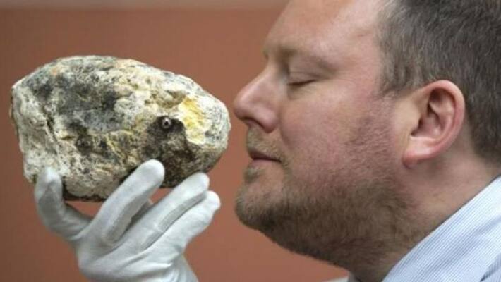 what is ambergris sperm whale vomit why is it so costly what is ambergris sperm whale vomit why is it so costly