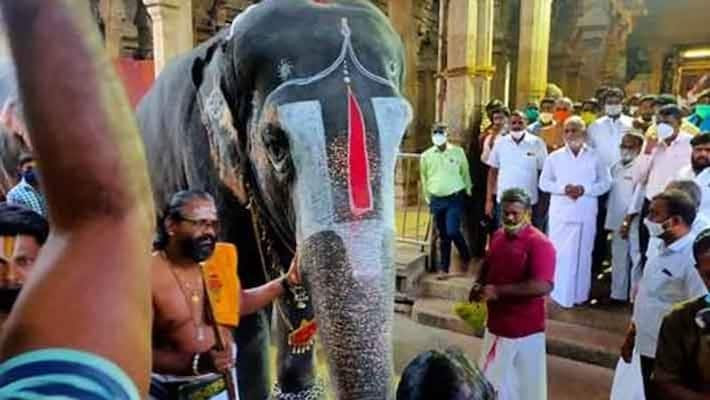 Criminal action if temple lands are occupied ... Minister Sekar babu warns Criminal action if temple lands are occupied ... Minister Sekar babu warns