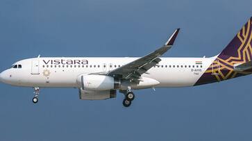 Stray dog enters Goa airport runway Forces Vistara Flight To Return To Bengaluru ksm Stray dog enters Goa airport runway Forces Vistara Flight To Return To Bengaluru ksm