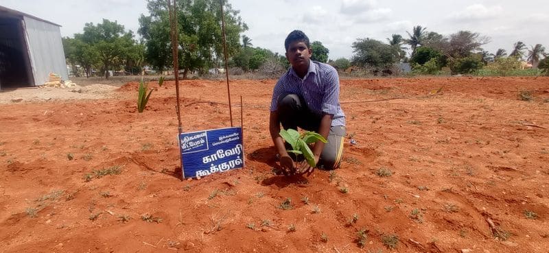 farmers planting tree on regards of cauvery calling movement