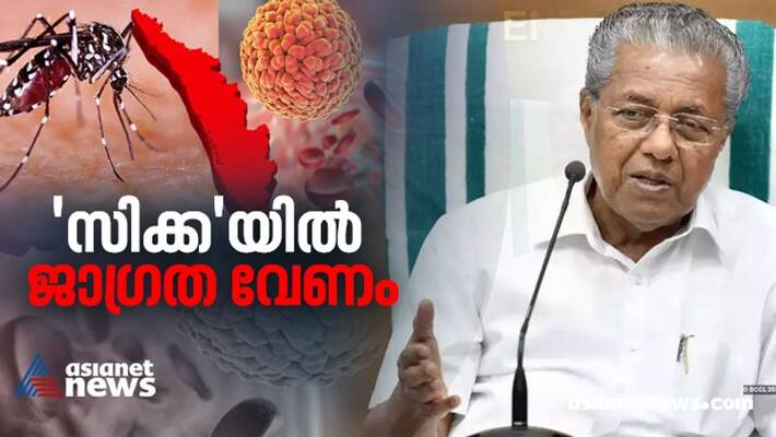 pinarayi vijayan says zika virus spread is expected Aedes aegypti mosquitos are too many in kerala pinarayi vijayan says zika virus spread is expected Aedes aegypti mosquitos are too many in kerala
