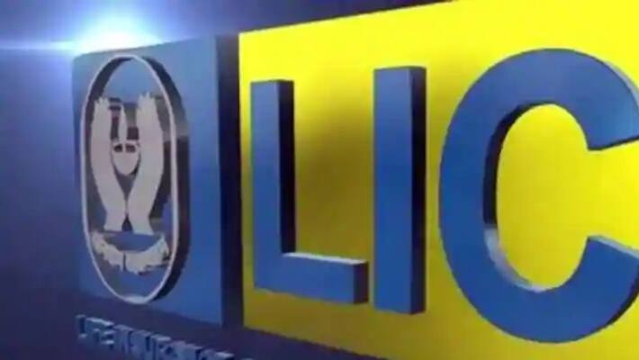LIC IPO delay? Govt in wait-and-watch mode LIC IPO delay? Govt in wait-and-watch mode