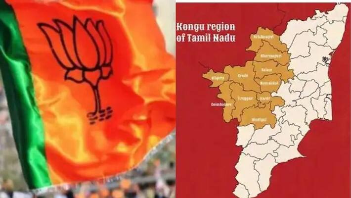 tamil Nadu must be divided The BJP has made its position clear during the controversy tamil Nadu must be divided The BJP has made its position clear during the controversy
