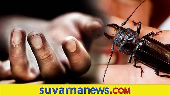 Child in Kerala Dies as Beetle Gets Stuck in Trachea dpl Child in Kerala Dies as Beetle Gets Stuck in Trachea dpl