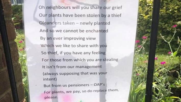 Upset gardener pens heartfelt poem to thief who wont stop stealing their plants Upset gardener pens heartfelt poem to thief who wont stop stealing their plants