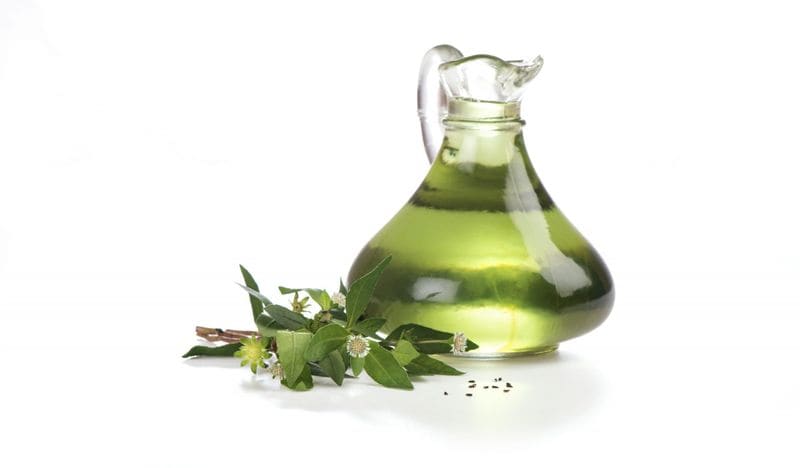Bringharaj oil contains a combination of extracts of the Bringharaj plant (Eclipta alba) and a natural carrier oil (typically sesame or coconut). Apart from being exceptionally good for your hair, Bringharaj is said to be a great tool for detoxifying your liver as well. Take a look at our roundup of the five benefits of Bringharaj Oil.
