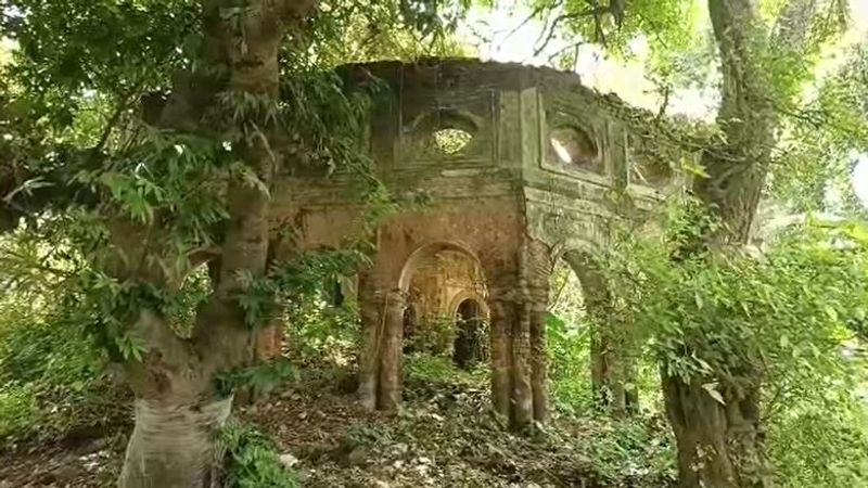 প্রথা মেনে বর্তমান রাজপুরুষ প্রণয়চাঁদ মহতাব এই রথের সেবায়ত। রথ, ঝুলন, জন্মাষ্টমী থেকে দুর্গাপুজো সব উৎসবের আর্থিক থেকে যাবতীয় ভার তাঁকেই বহন করতে হয়।