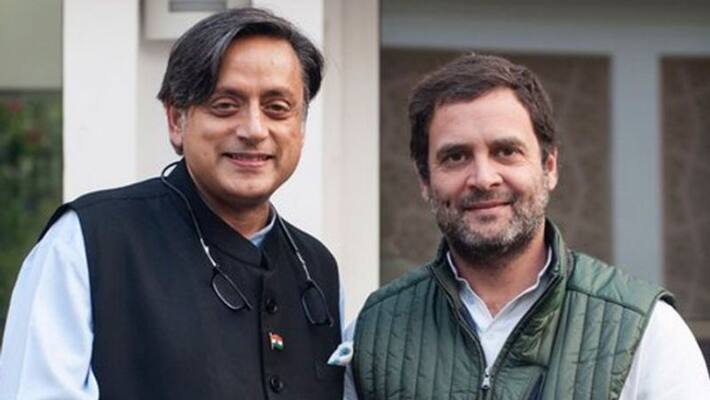Rahul Gandhi wont be congress loksabha leader shashi tharoor may be considered Rahul Gandhi wont be congress loksabha leader shashi tharoor may be considered