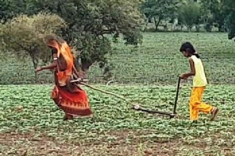इन तस्वरों को देखकर लगता है कि जितनी तस्वीर भयावह है उससे कहीं ज्यादा सरकारी सिस्टम के लिए चुनौती भी है। सरकार की चलने वाली तमाम गरीबों की योजनाएं कैसे सरकारी ऑफिसों की फाइलों में बंद हैं।जो सचमुच योजना का हकदार उसे किसी भी शासकीय योजना का लाभ नहीं मिल पा रहा है।
