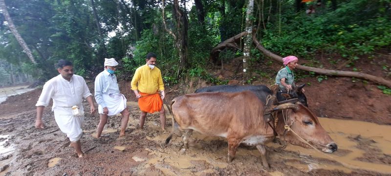 ಸುರಿಯೋ ಮಳೆಯ ಮಧ್ಯೆ ನೈತಾಡಿಯ ಗದ್ದೆಯಲ್ಲಿ ನಳಿನ್ ಕೃಷಿ ಕಾರ್ಯ,ಟ್ರಾಕ್ಟರ್ ಓಡಿಸಿ ಸ್ವತಃ ತಾವೇ ನಾಟಿ ಕಾರ್ಯ ಮಾಡಿದ ನಳಿನ್ ಕುಮಾರ್