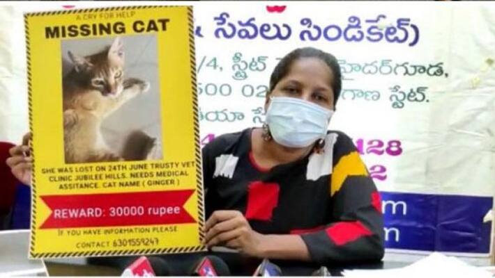 Hyderabad woman announces Rs 30,000 cash reward for info on her missing cat kpa Hyderabad woman announces Rs 30,000 cash reward for info on her missing cat kpa