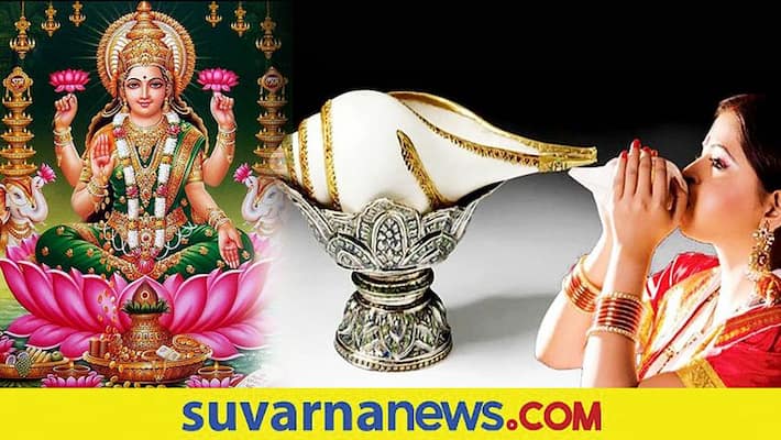 Sound of conch can bring prosperity and make you rich Sound of conch can bring prosperity and make you rich