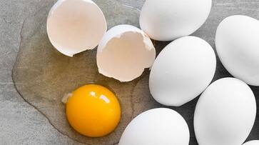 world egg day 2023 know the health benefits of egg-rse- world egg day 2023 know the health benefits of egg-rse-