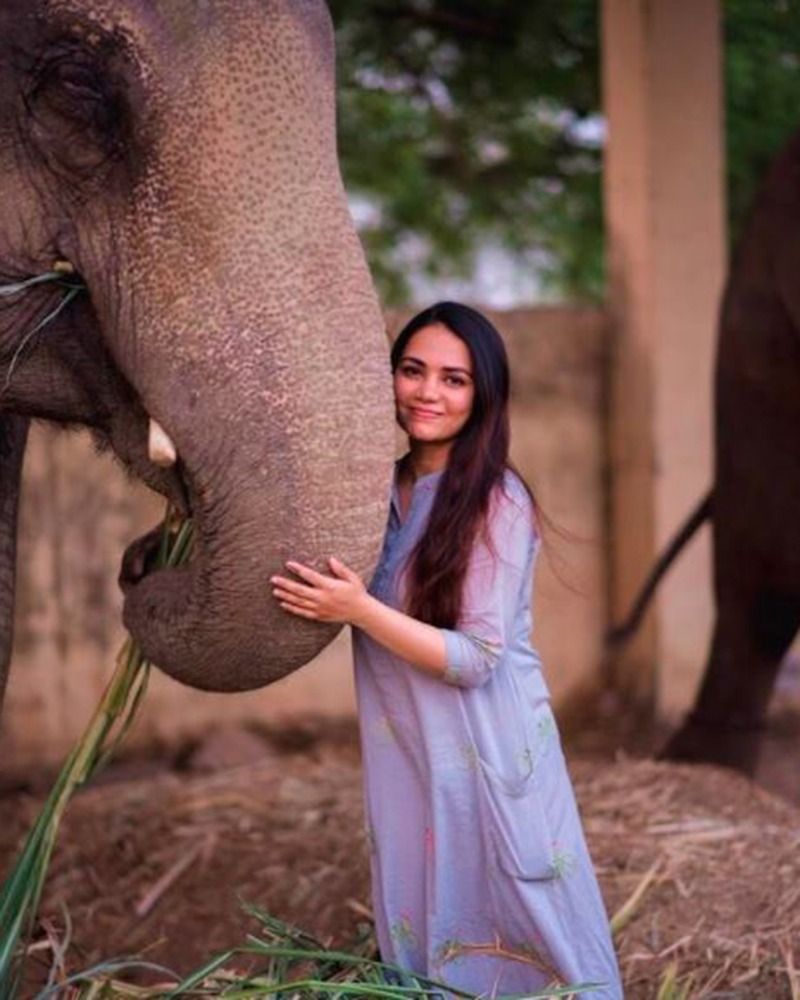 সোশ্যাল মিডিয়াতেও খুবই সক্রিয় তারকা শুটার। ঘনঘন নিজের ছবি শেয়ার করেন তিনি। খেলা থেকে শুরু করে বিভিন্ন মুহূর্তের ছবি।