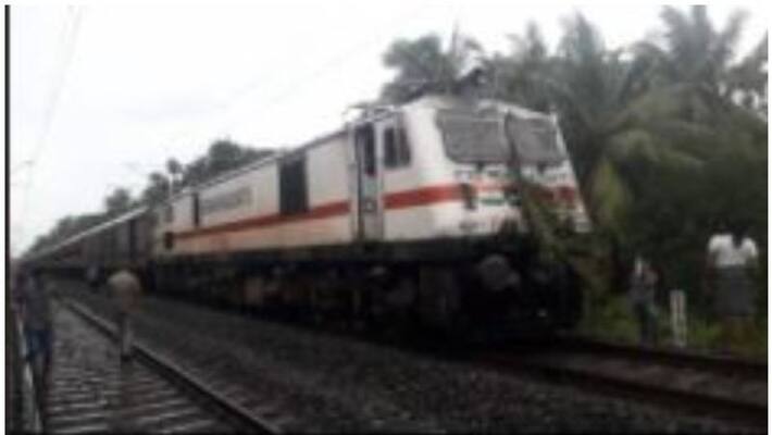 Coconut Tree fell on Train Coconut Tree fell on Train