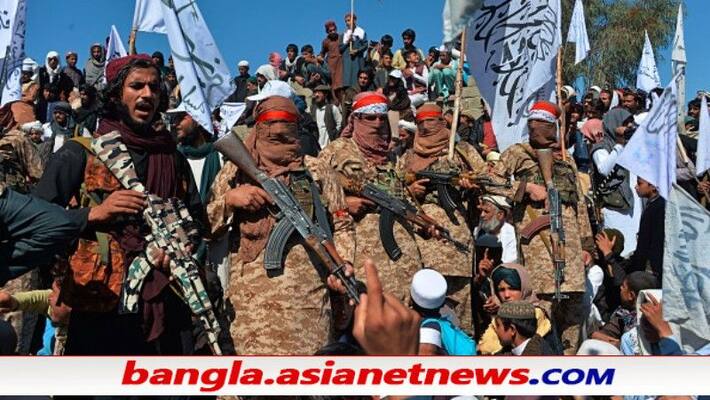 Video of Talibans execute 22 Afghan commandos goes viral, sparks criticism of Joe Biden ALB Video of Talibans execute 22 Afghan commandos goes viral, sparks criticism of Joe Biden ALB