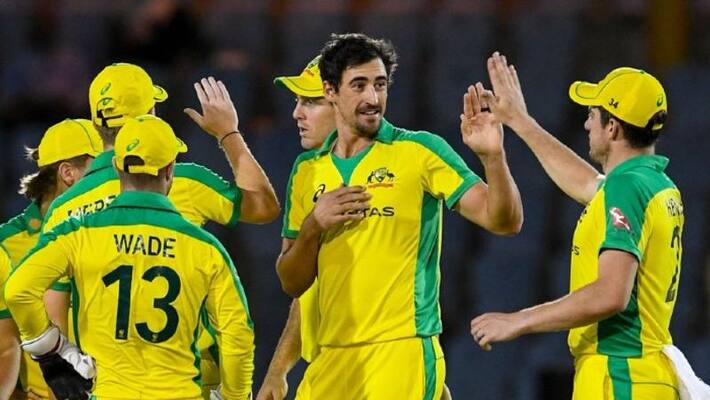 australia beat new zealand by 113 runs in second odi and win series by 2 0 australia beat new zealand by 113 runs in second odi and win series by 2 0