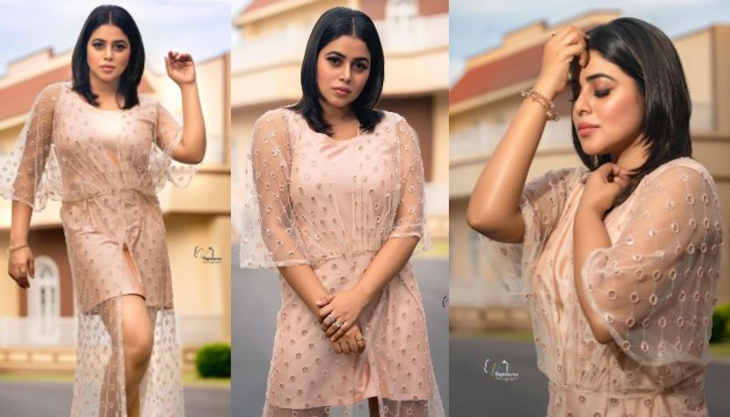 వాటిలో తెలుగు సినిమాలు `తెలుగులో నాకు నచ్చని పదం ప్రేమ`, `సుందరి`, `బ్యాక్ డోర్`,`అఖండ`, `దృశ్యం2` చిత్రాలున్నాయి. `తలైవి`లోనూ శశికళ పాత్రని పోషిస్తుంది.