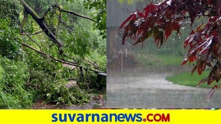 Incessant Rain lashes Malnad And Coastal Karnataka snr Incessant Rain lashes Malnad And Coastal Karnataka snr