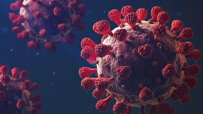 Vaccinated Assam doctor positive for double infection of Covid 19 by Alpha and Delta variants simultaneously Vaccinated Assam doctor positive for double infection of Covid 19 by Alpha and Delta variants simultaneously