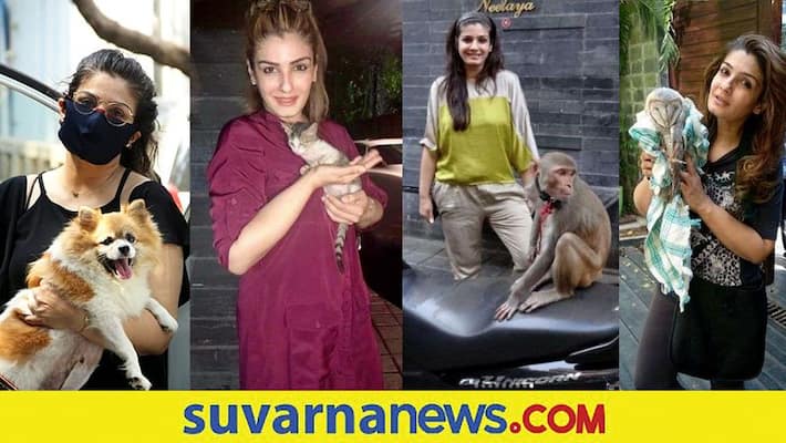 This KGF actress pets ow, monkey bats in her home This KGF actress pets ow, monkey bats in her home