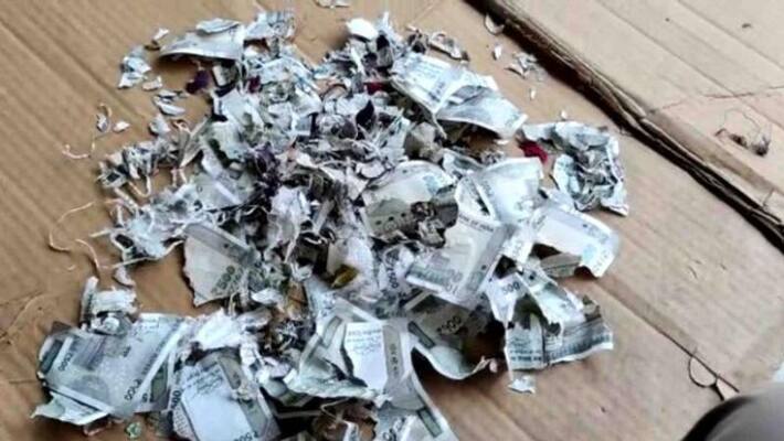 rats chew money that farmer kept for treatment minister offers help in telangana rats chew money that farmer kept for treatment minister offers help in telangana
