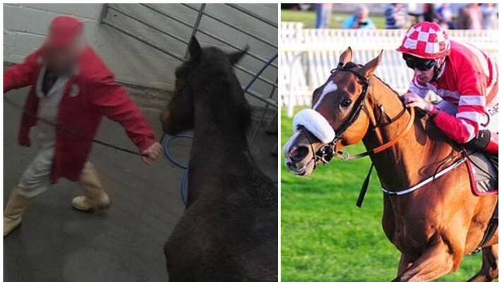 UK Shoots thousands of race horses in their abattoirs, inhuman says animal rights organizations UK Shoots thousands of race horses in their abattoirs, inhuman says animal rights organizations