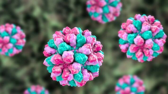 Norovirus suspected in kochi Norovirus suspected in kochi