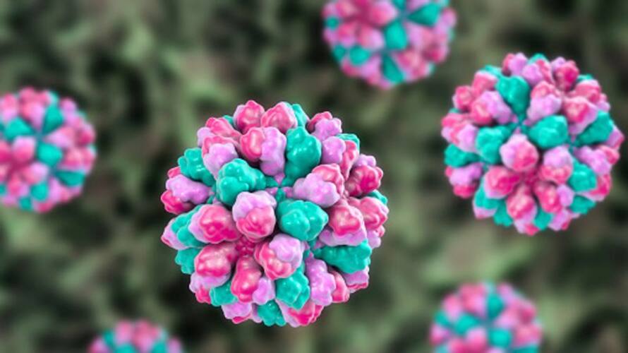 Norovirus Health Department take preventive measures in thrissur Norovirus Health Department take preventive measures in thrissur