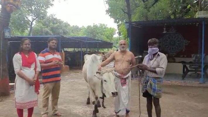 Chilkur Balaji Temple gifts cow to farmer - bsb Chilkur Balaji Temple gifts cow to farmer - bsb