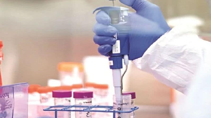 due to delta variant worldwide death from coronavirus jumped 21 percent says WHO bsm