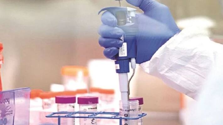 delta variant is a warning says world health organization delta variant is a warning says world health organization