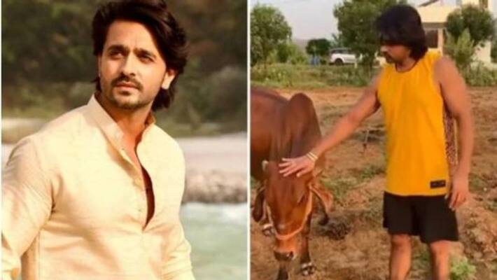 actor ashish sharma turn in to farmer videos viral arj actor ashish sharma turn in to farmer videos viral arj