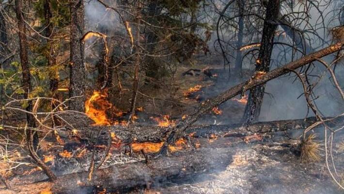 Oregon Bootleg Fire fire burns 300,000 acres in US Oregon Bootleg Fire fire burns 300,000 acres in US
