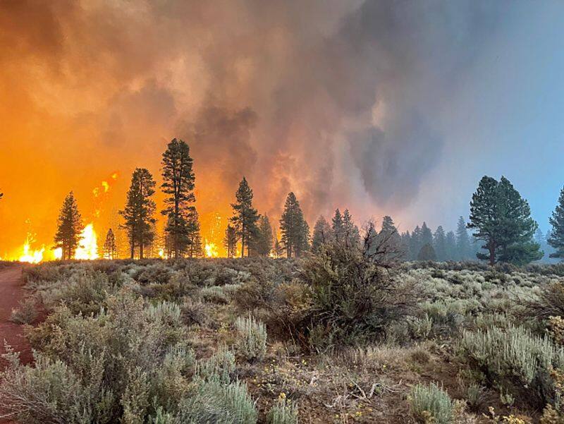 Oregon Bootleg Fire fire burns 300,000 acres in  US